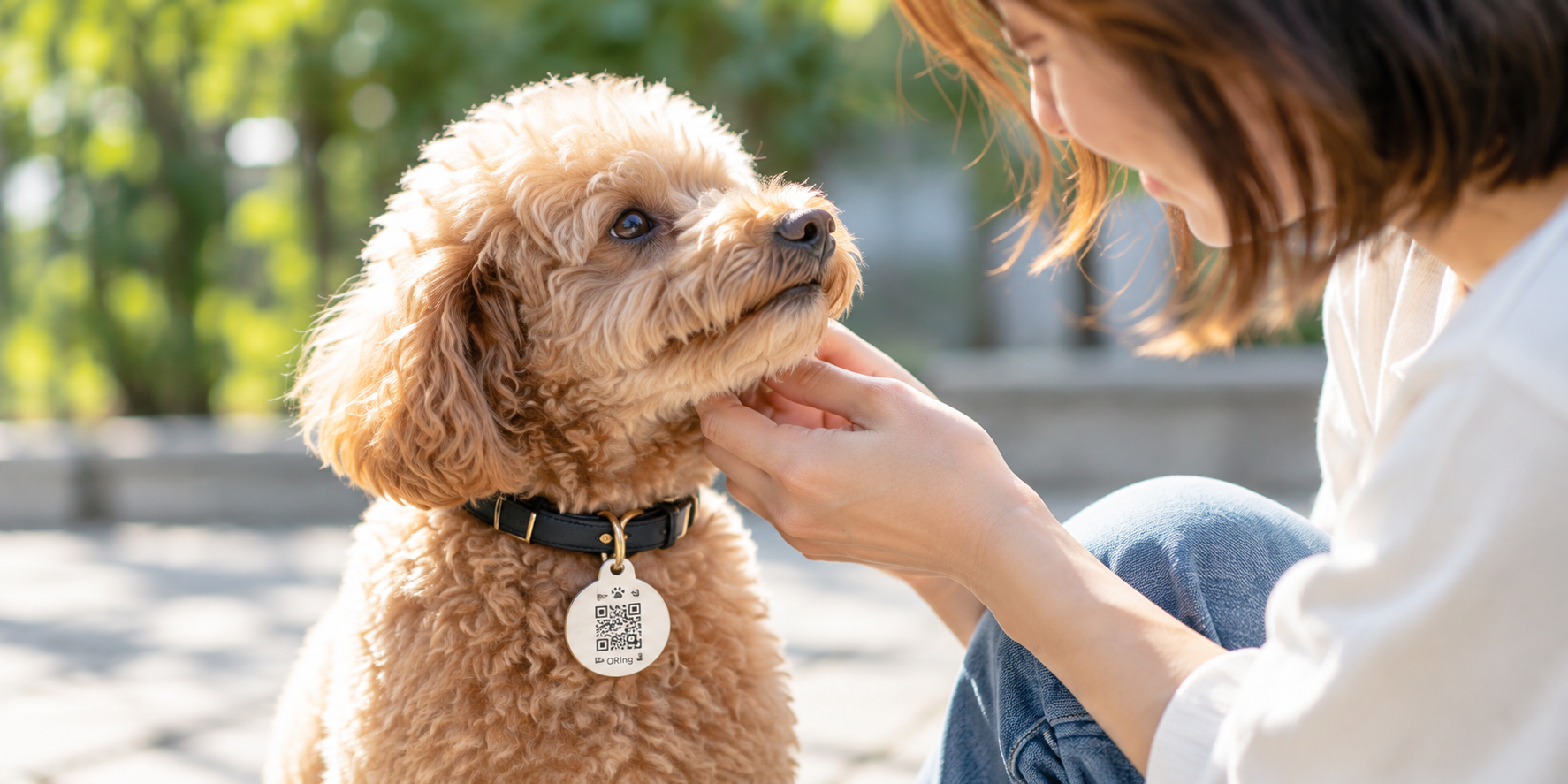 QRタグを身につけた犬と見つめ合う女性